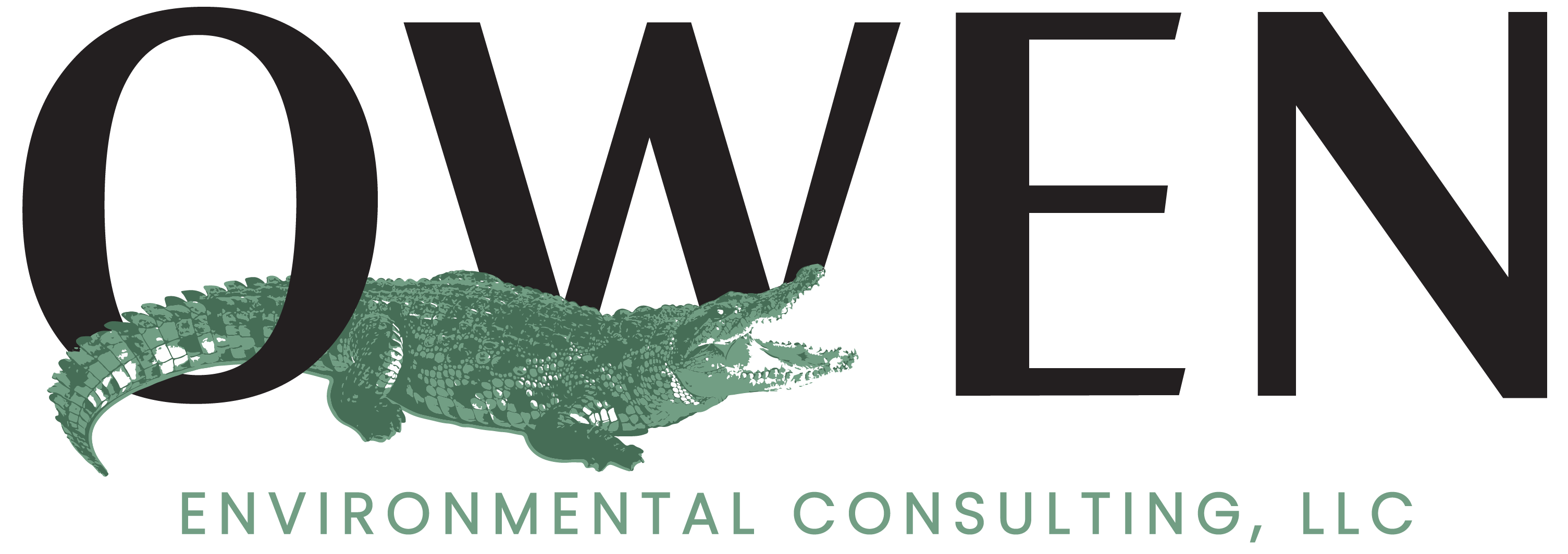 Website FinalLOGO Owen Environmental Consulting, LLC-01-01